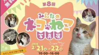 第8回「みんなのネコねこ写真展」 | 千曲市市民交流センター てとて